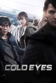 cold eyes 2646 poster