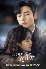 forever love 2541 poster