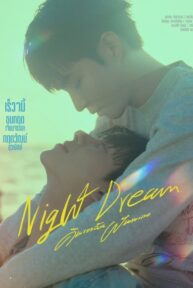 night dream 3476 poster