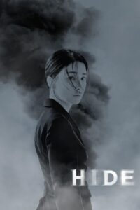 hide 4340 poster