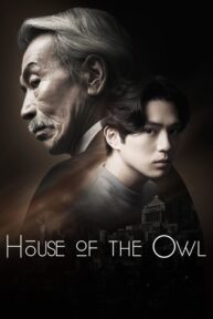 house of the owl 4709 poster