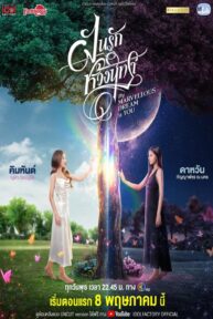 my marvellous dream is you 4856 poster