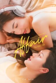 affair 5642 poster