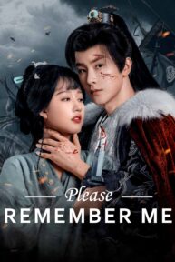 please remember me 5760 poster