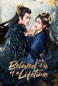 beloved of a lifetime 5928 poster