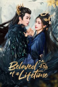 beloved of a lifetime 5928 poster